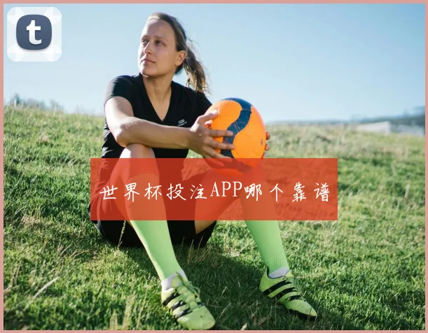 世界杯投注APP哪个靠谱