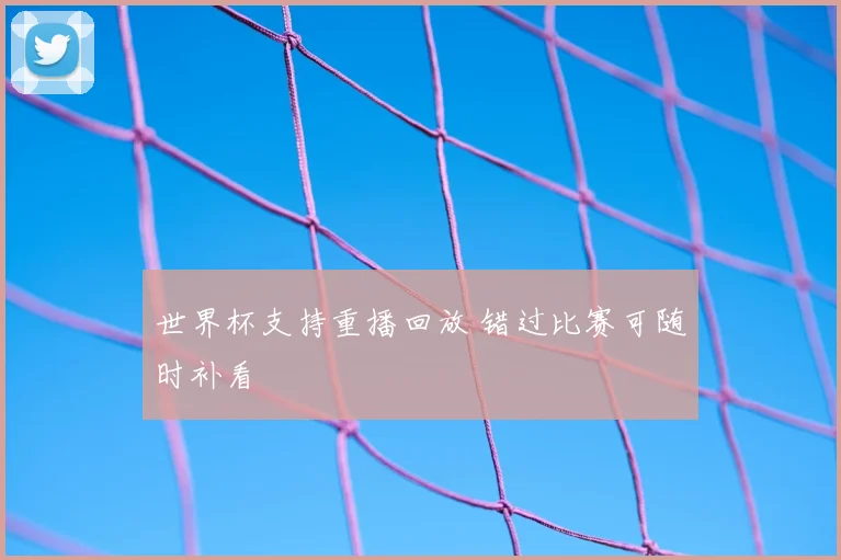 世界杯支持重播回放 错过比赛可随时补看