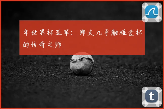 年世界杯亚军:那支几乎触碰金杯的传奇之师