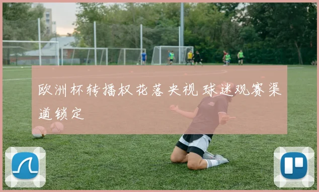 欧洲杯转播权花落央视 球迷观赛渠道锁定