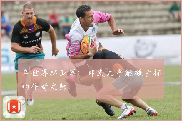 年世界杯亚军:那支几乎触碰金杯的传奇之师