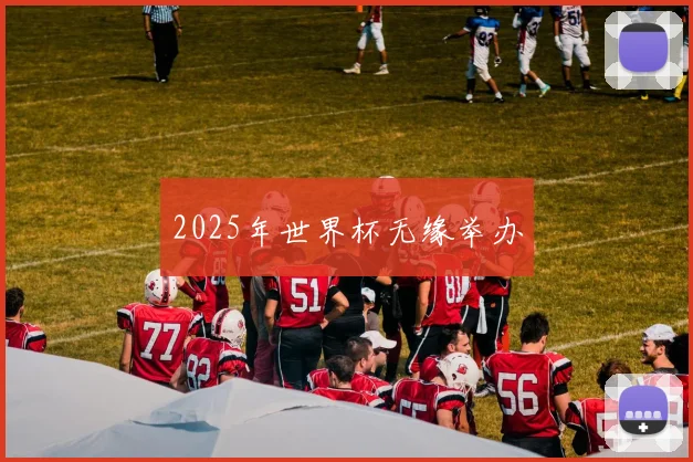 2025年世界杯无缘举办