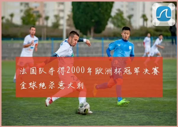 法国队夺得2000年欧洲杯冠军决赛金球绝杀意大利