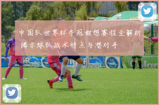 中国队世界杯夺冠假想赛程全解析 揭示球队战术特点与潜对手
